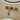 #renk_f-r-alanm-dark-brass-39